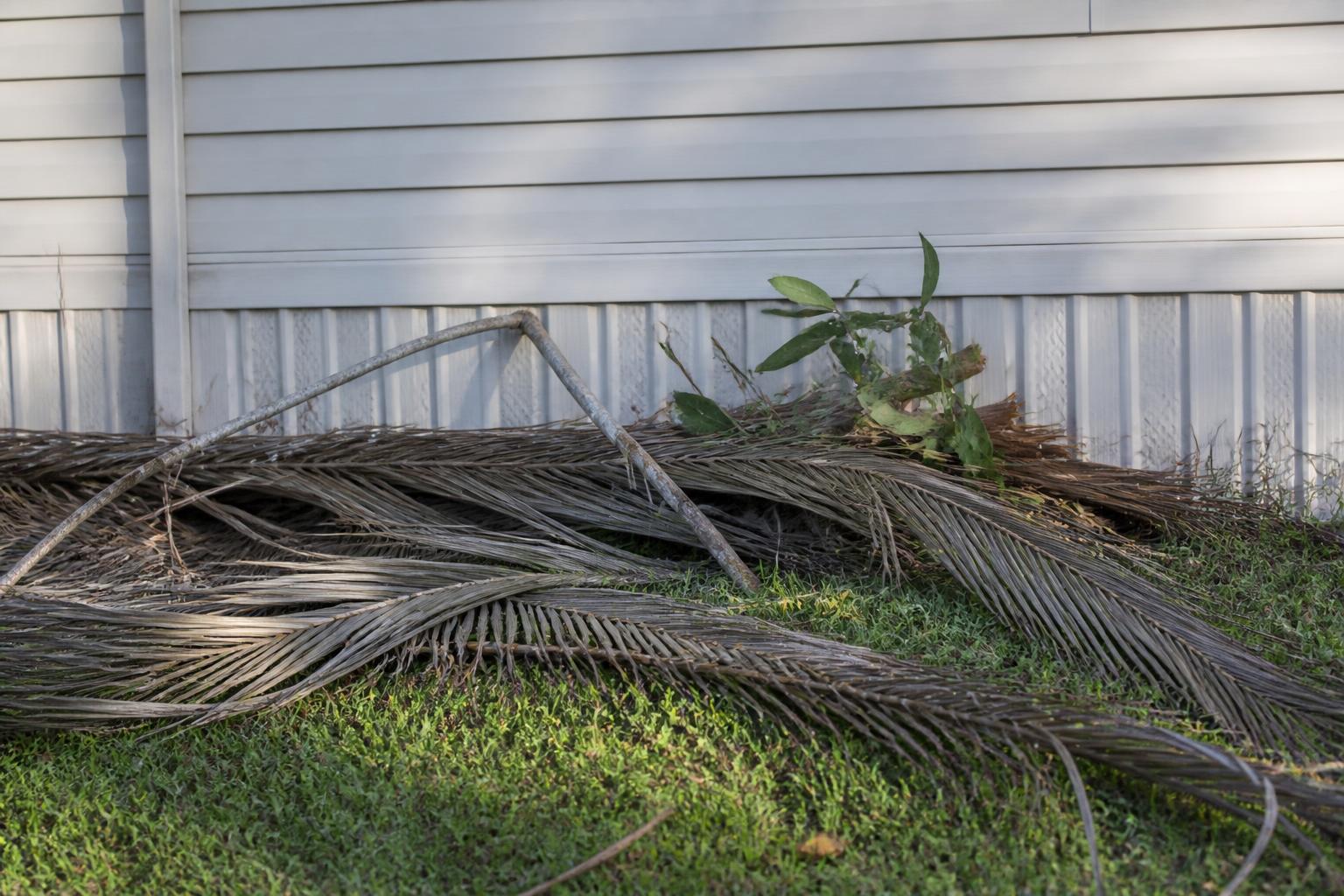 Fallen palm fronds and small tree branches scattered on green grass near a manufactured home